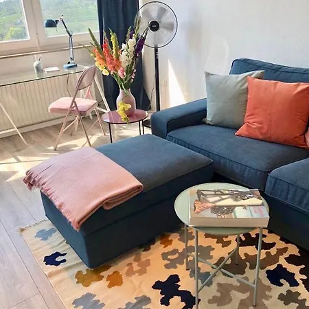 Grosses Mit Aussichtsbalkon Appartement Ludwigsburg