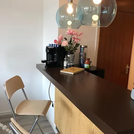 Grosses Mit Aussichtsbalkon Ludwigsburg